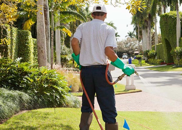 About Topock AZ Pest Control Pros